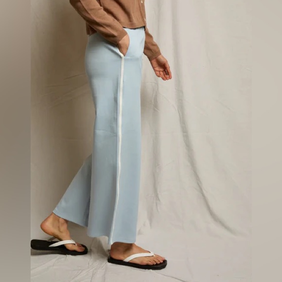 Perfectwhitetee Mikos Pant Wide Leg Pockets Powder Blue Size Small Nwt